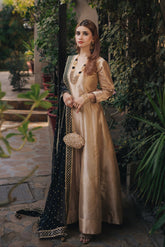 Dilruba - (Dupatta & Frock)