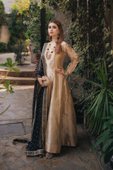 Dilruba - (Dupatta & Frock)