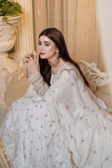 Roshni - Stitched 2 Pcs