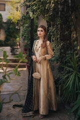 Dilruba - (Dupatta & Frock)